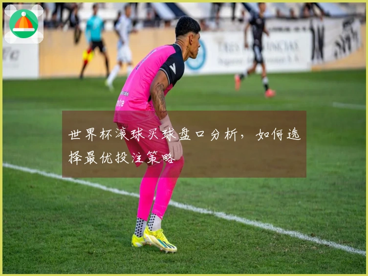 世界杯滚球买球盘口分析，如何选择最优投注策略