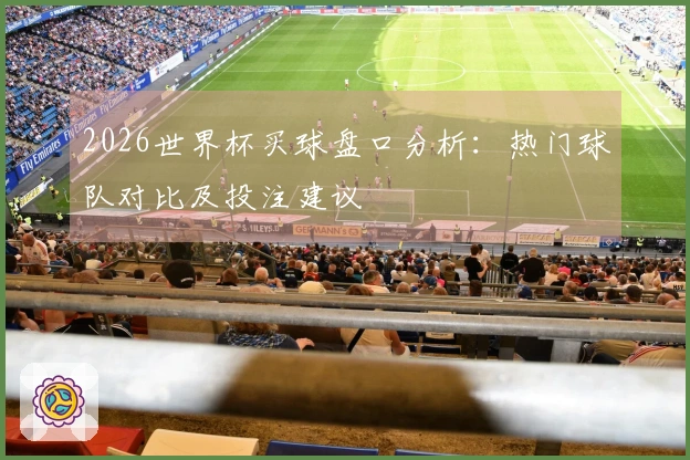 2026世界杯买球盘口分析:热门球队对比及投注建议