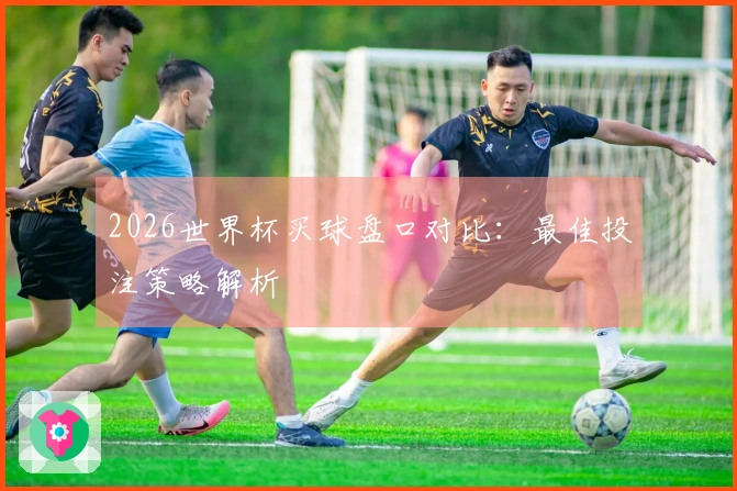 2026世界杯买球盘口对比：最佳投注策略解析