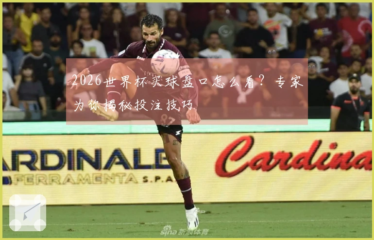 2026世界杯买球盘口怎么看?专家为你揭秘投注技巧