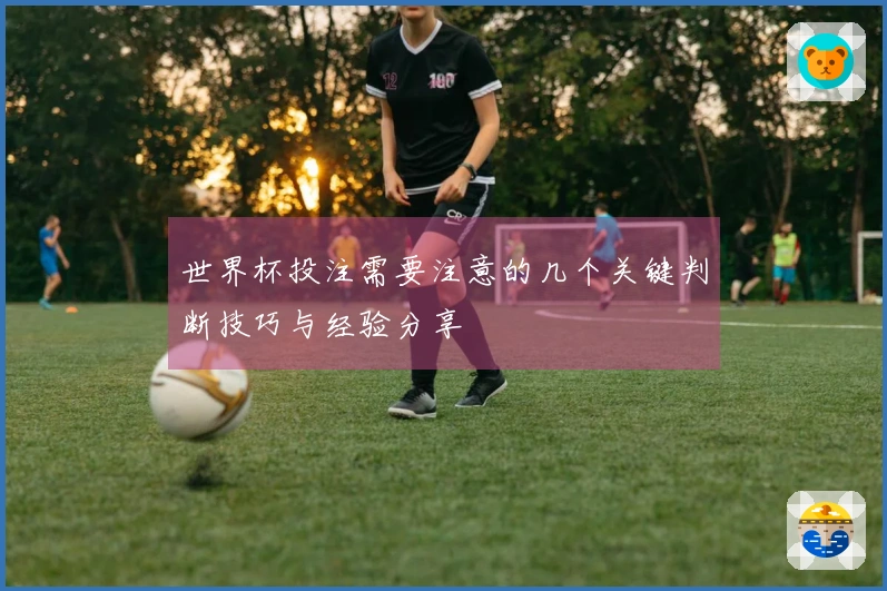 世界杯投注需要注意的几个关键判断技巧与经验分享