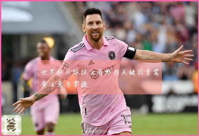 世界杯买球投注有哪些关键因素需要注意与掌握