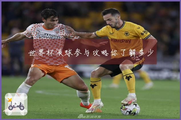 世界杯滚球参与攻略你了解多少