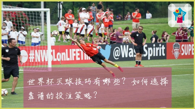 世界杯买球技巧有哪些?如何选择靠谱的投注策略?