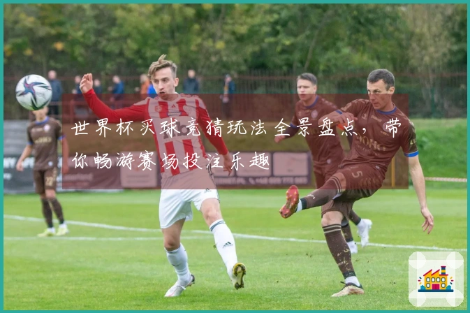 世界杯买球竞猜玩法全景盘点，带你畅游赛场投注乐趣