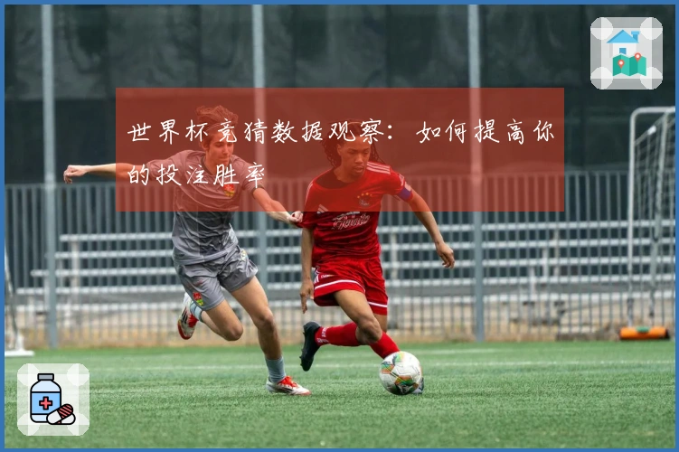 世界杯竞猜数据观察：如何提高你的投注胜率