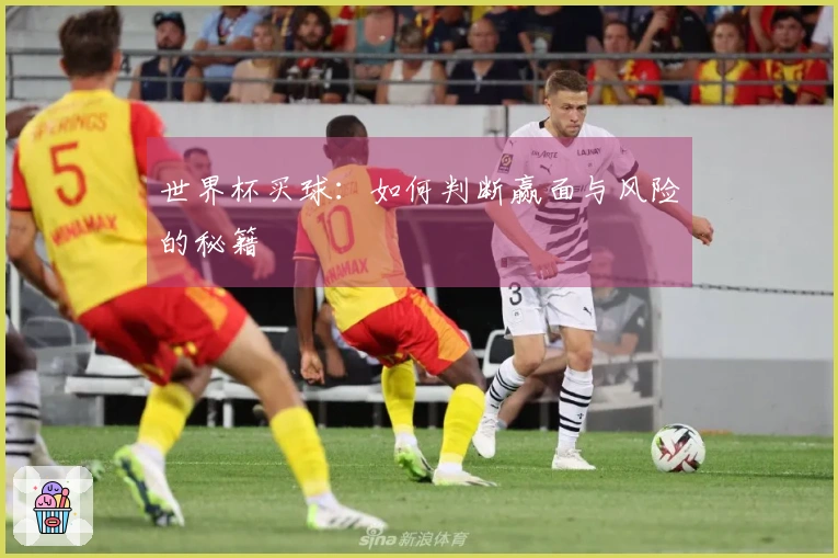 世界杯买球：如何判断赢面与风险的秘籍