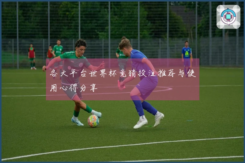 各大平台世界杯竞猜投注推荐与使用心得分享