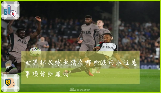 世界杯买球竞猜有哪些技巧和注意事项你知道吗